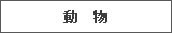 動物
